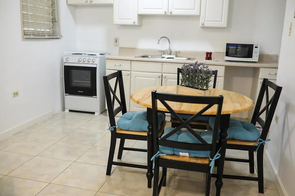 New Kingston'S Deluxe Apartment Jamaica